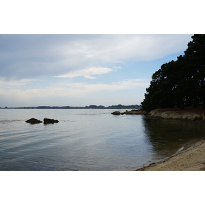 รูปถ่าย ฝรั่งเศส(France) เกาะโอมวน(Ile-aux-Moines) 2016-08 33