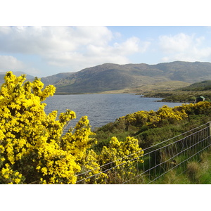 รูปถ่าย ไอร์แลนด์(Ireland) เคอร์รี่(Kerry) ทะเลสาบคารา(Caragh Lake) 2004-05 37