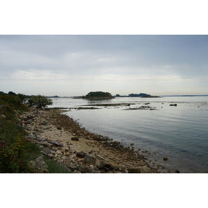 รูปถ่าย ฝรั่งเศส(France) เกาะโอมวน(Ile-aux-Moines) 2016-08 36