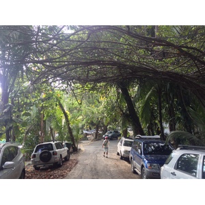 รูปถ่าย คอสตาริกา(Costa Rica) มานวยล์อันโตนีโอ(Manuel Antonio) 2015-03 260