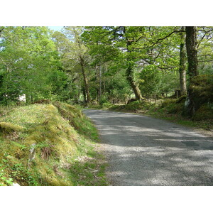 รูปถ่าย ไอร์แลนด์(Ireland) เคอร์รี่(Kerry) ทะเลสาบคารา(Caragh Lake) 2004-05 32