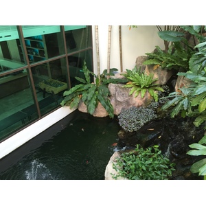 รูปถ่าย ไทย(Thailand) โรงแรมแมริออท ระยอง(Marriott Rayong) 2016-01 160
