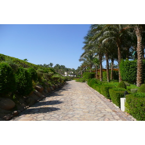 รูปถ่าย อียิปต์(Egypt) ชาร์มเอลชีค(Sharm el Sheikh) โรงแรมโฟร์ซีซันส์(Four Seasons Hotel) หาดโฟร์ซีซันส์(Four Seasons Beach) 2008-06 17