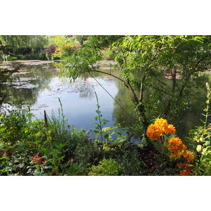 รูปถ่าย ฝรั่งเศส(France) ฌีแวร์นี(Giverny) 2013-06 220
