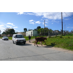 รูปถ่าย แอฟริกาใต้(South Africa) ไนส์นา(Knysna) 2008-09 94