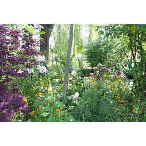 รูปถ่าย ฝรั่งเศส(France) ฌีแวร์นี(Giverny) 2013-06 203