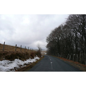 รูปถ่าย ฝรั่งเศส(France) โอบรัก(L'Aubrac) 2008-04 19