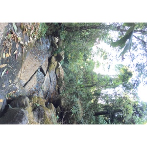 รูปถ่าย ไทย(Thailand) อุทยานแห่งชาติภูหินร่องกล้า(Phu Hin Rong Kla National Park) 2014-12 116