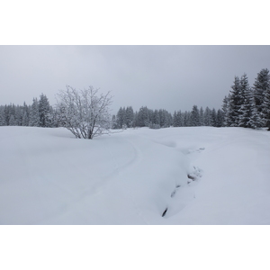 รูปถ่าย ฝรั่งเศส(France) เลทรัววาเล(Les 3 Vallees) 2013-03 400