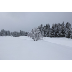 รูปถ่าย ฝรั่งเศส(France) เลทรัววาเล(Les 3 Vallees) 2013-03 114
