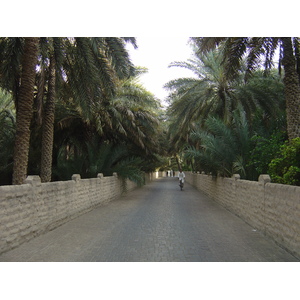 รูปถ่าย สหรัฐอาหรับเอมิเรตส์(United Arab Emirates) อาเลอิน(Al Ain) โอเอซิสอัลไอน์(Al Ain Oasis) 2005-03 30