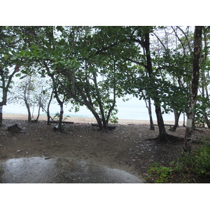 รูปถ่าย คอสตาริกา(Costa Rica) ปวยร์โตเบียโฆเดตาลามังกา(Puerto Viejo de Talamanca) 2015-03 112
