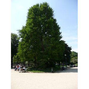 รูปถ่าย ฝรั่งเศส(France) ปารีส(Paris) ช็องเซลีเซ(Champs Elysees) 2007-05 4