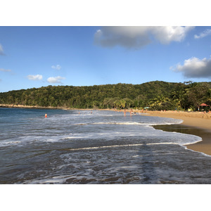 รูปถ่าย กวาเดอลูป(Guadeloupe) หาดลาแปร์ล(La Perle Beach) 2021-02 63