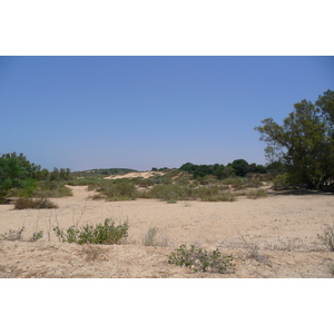 รูปถ่าย อิสราเอล(Israel) นิทซาน(Nitzan) 2007-06 92