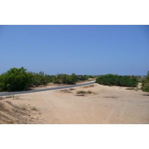 รูปถ่าย อิสราเอล(Israel) นิทซาน(Nitzan) 2007-06 95
