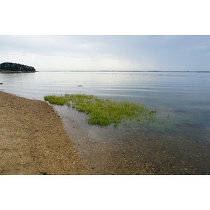 รูปถ่าย ฝรั่งเศส(France) เกาะโอมวน(Ile-aux-Moines) 2016-08 32