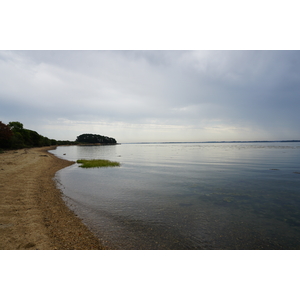 รูปถ่าย ฝรั่งเศส(France) เกาะโอมวน(Ile-aux-Moines) 2016-08 37