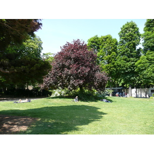 รูปถ่าย ฝรั่งเศส(France) ปารีส(Paris) ช็องเซลีเซ(Champs Elysees) 2007-05 17