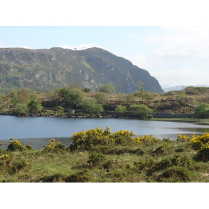 รูปถ่าย ไอร์แลนด์(Ireland) เคอร์รี่(Kerry) ทะเลสาบคารา(Caragh Lake) 2004-05 17