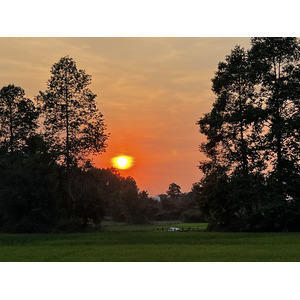 รูปถ่าย กัมพูชา(Cambodia) เสียมราฐ(Siem Reap) 2023-01 80