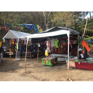 รูปถ่าย คอสตาริกา(Costa Rica) มานวยล์อันโตนีโอ(Manuel Antonio) 2015-03 370