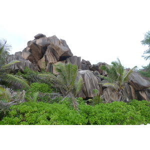 รูปถ่าย เซเชลส์(Seychelles) เกาะลาดีก(La Digue) 2011-10 187
