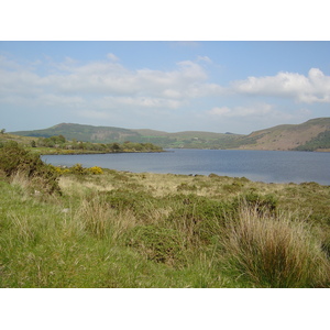 รูปถ่าย ไอร์แลนด์(Ireland) เคอร์รี่(Kerry) ทะเลสาบคารา(Caragh Lake) 2004-05 34