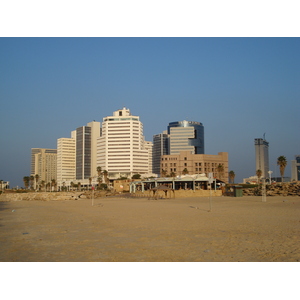 รูปถ่าย อิสราเอล(Israel) เทลอาวีฟ(Tel Aviv) ชายหาดเทลอาวีฟ(Tel Aviv Sea Shore) 2006-12 213