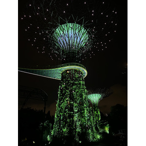 รูปถ่าย สิงคโปร์(Singapore) การ์เดนส์บายเดอะเบย์(Garden by the bay) 2023-01 24