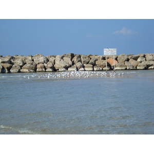 รูปถ่าย อิสราเอล(Israel) เฮิร์สลียา(Herzliya) 2006-12 32