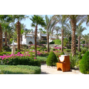 รูปถ่าย อียิปต์(Egypt) ชาร์มเอลชีค(Sharm el Sheikh) โรงแรมโฟร์ซีซันส์(Four Seasons Hotel) หาดโฟร์ซีซันส์(Four Seasons Beach) 2008-06 23