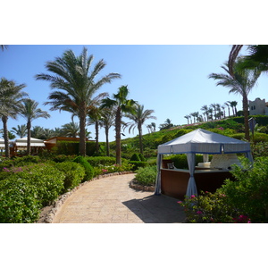 รูปถ่าย อียิปต์(Egypt) ชาร์มเอลชีค(Sharm el Sheikh) โรงแรมโฟร์ซีซันส์(Four Seasons Hotel) หาดโฟร์ซีซันส์(Four Seasons Beach) 2008-06 21