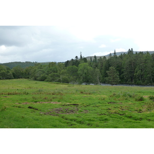 รูปถ่าย อังกฤษ(United Kingdom) อุทยานแห่งชาติแคร์นกอร์มส์(Cairngorms National Park) 2011-07 136