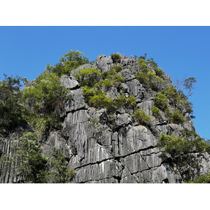 รูปถ่าย เวียดนาม(Vietnam) อ่าวฮาลอง(Ha Long Bay) 2024-01 166