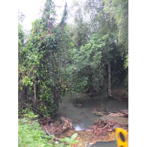 รูปถ่าย คอสตาริกา(Costa Rica) ปวยร์โตเบียโฆเดตาลามังกา(Puerto Viejo de Talamanca) 2015-03 7