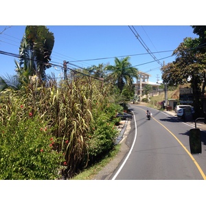 รูปถ่าย คอสตาริกา(Costa Rica) มานวยล์อันโตนีโอ(Manuel Antonio) 2015-03 429