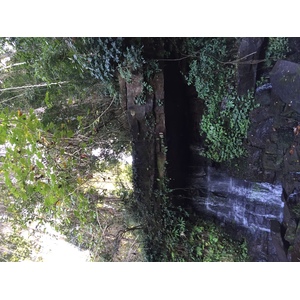 รูปถ่าย ไทย(Thailand) อุทยานแห่งชาติภูหินร่องกล้า(Phu Hin Rong Kla National Park) 2014-12 252
