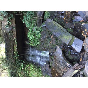 รูปถ่าย ไทย(Thailand) อุทยานแห่งชาติภูหินร่องกล้า(Phu Hin Rong Kla National Park) 2014-12 266
