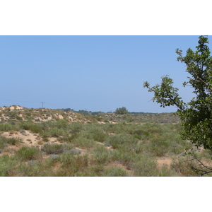 รูปถ่าย อิสราเอล(Israel) นิทซาน(Nitzan) 2007-06 73
