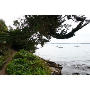 รูปถ่าย ฝรั่งเศส(France) เกาะโอมวน(Ile-aux-Moines) 2016-08 113