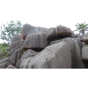 รูปถ่าย เซเชลส์(Seychelles) เกาะลาดีก(La Digue) 2011-10 221