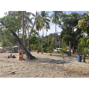รูปถ่าย คอสตาริกา(Costa Rica) มานวยล์อันโตนีโอ(Manuel Antonio) 2015-03 365