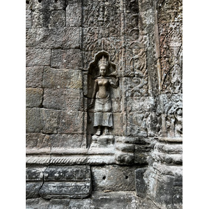 รูปถ่าย กัมพูชา(Cambodia) เสียมราฐ(Siem Reap) ปราสาทตาพรหม(Ta Prohm) 2023-01 71