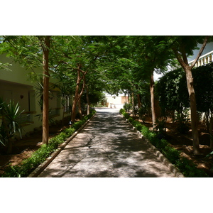รูปถ่าย อียิปต์(Egypt) ชาร์มเอลชีค(Sharm el Sheikh) โรงแรมไฮแอต(Hyatt Hotel) 2008-06 69