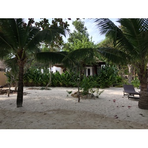 รูปถ่าย ไทย(Thailand) เกาะเสม็ด(Ko Samet) 2014-12 50