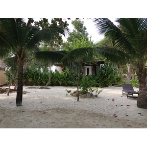 รูปถ่าย ไทย(Thailand) เกาะเสม็ด(Ko Samet) 2014-12 45