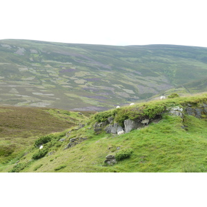 รูปถ่าย อังกฤษ(United Kingdom) อุทยานแห่งชาติแคร์นกอร์มส์(Cairngorms National Park) 2011-07 144