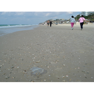 รูปถ่าย อิสราเอล(Israel) เฮิร์สลียา(Herzliya) 2006-12 89