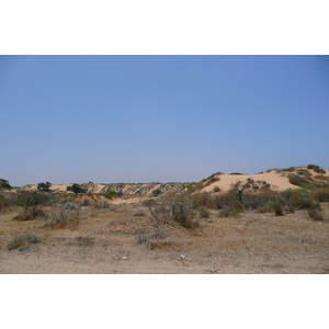 รูปถ่าย อิสราเอล(Israel) นิทซาน(Nitzan) 2007-06 104